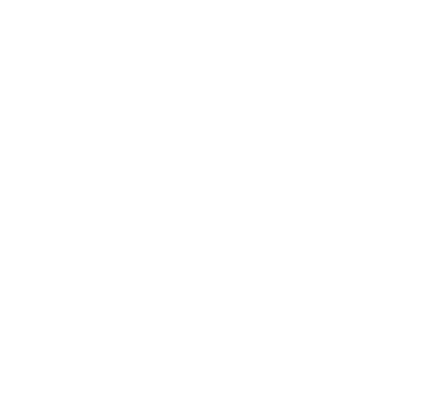 Logo Dilusso White